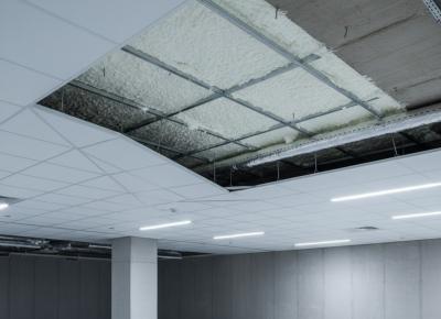 Ceilings & False Ceilings