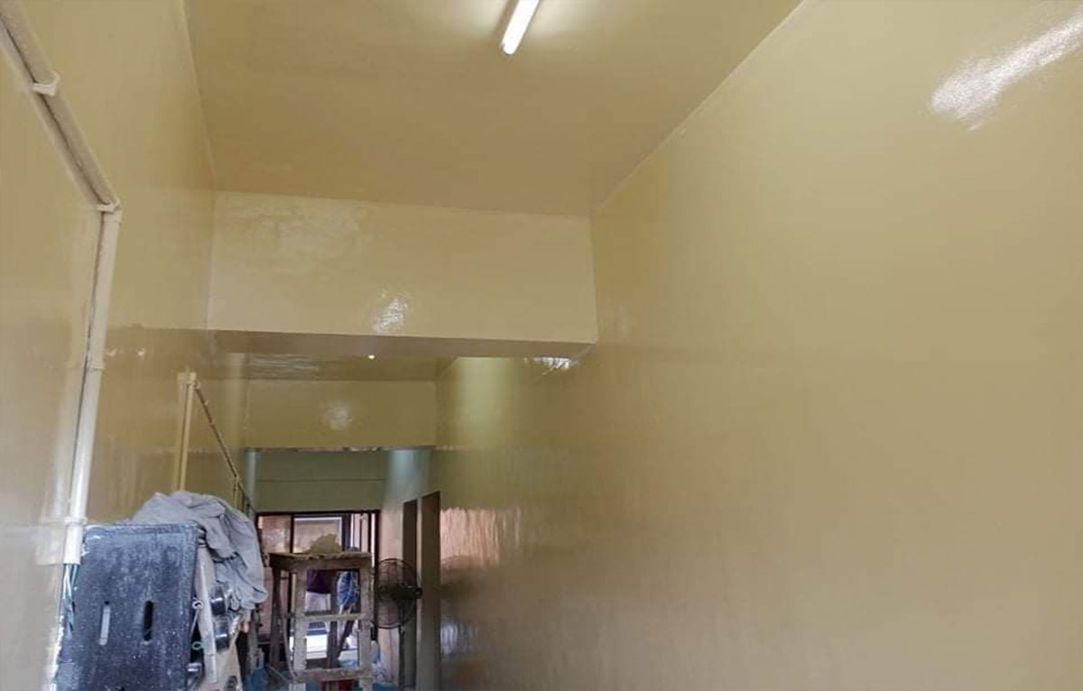 Epoxy Wall Coating and Paint